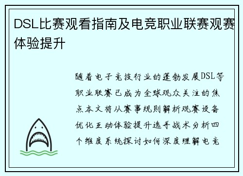 DSL比赛观看指南及电竞职业联赛观赛体验提升