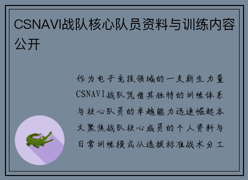 CSNAVI战队核心队员资料与训练内容公开